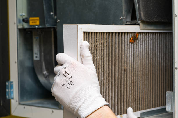 Best Residential Air Duct Cleaning  in Montegut, LA