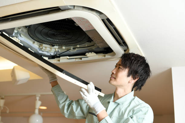 Best Air Duct Cleaning Near Me  in Montegut, LA