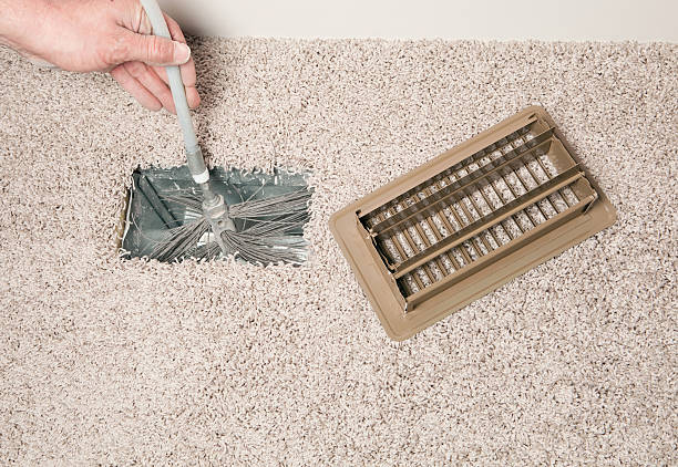 Air Duct Mold Removal in LA
