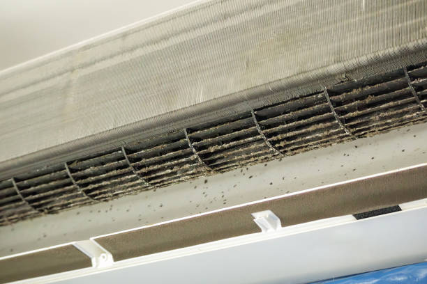 Best Commercial Air Duct Cleaning  in Montegut, LA