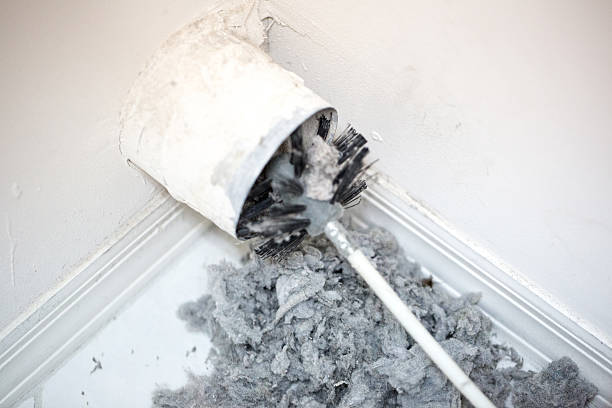 Best Local Air Duct Cleaning Services  in Montegut, LA